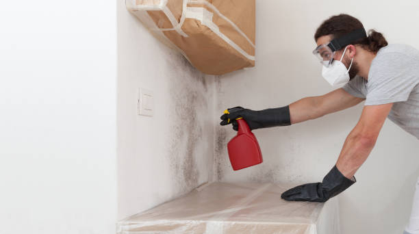 Professional Black Mold Remediation technician working in East Lansing, MI