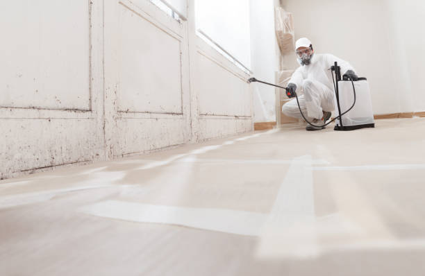 24/7 Emergency Black Mold Remediation experts in East Lansing, MI